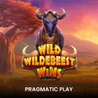 Wild Wildebeest Wins